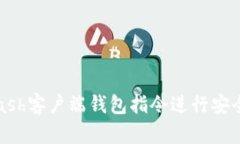 如何使用Zcash客户端钱包指令进行安全存储和转账