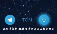 比特币解析：数字货币的未来与投资机会