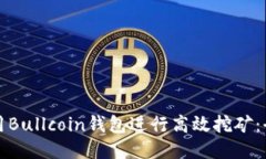 如何利用Bullcoin钱包进行高效挖矿：全面指南