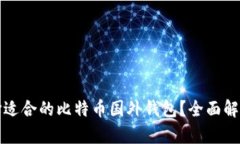 如何选择适合的比特币国外钱包？全面解析与推
