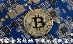 如何安全高效地下载比特现金钱包