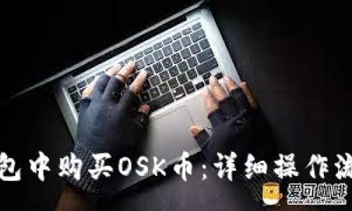 :
如何在Tp钱包中购买OSK币：详细操作流程视频讲解