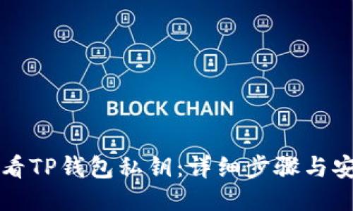 如何查看TP钱包私钥：详细步骤与安全提示