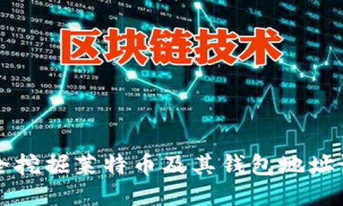 如何安全挖掘莱特币及其钱包地址设置指南