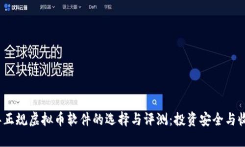 2023年正规虚拟币软件的选择与评测：投资安全与收益并行