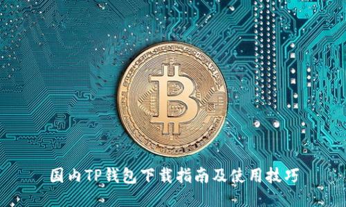 国内TP钱包下载指南及使用技巧