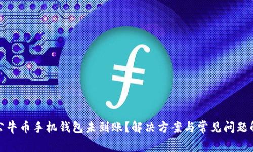 : 公牛币手机钱包未到账？解决方案与常见问题解析