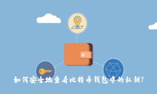 如何安全地查看比特币钱包中的私钥?