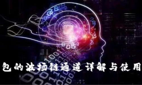 TP钱包的波场链通道详解与使用指南