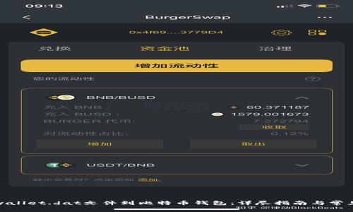 如何导入wallet.dat文件到比特币钱包：详尽指南与常见问题解答