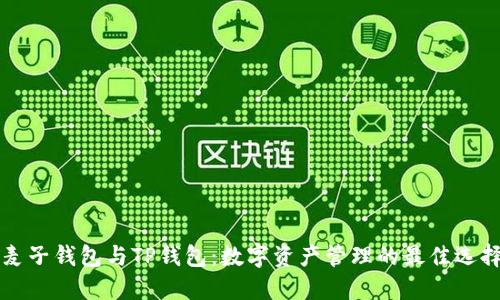 麦子钱包与TP钱包：数字资产管理的最佳选择