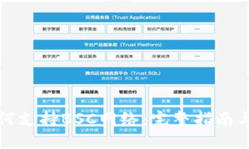 TP钱包如何支持BSC网络：完整指南与使用技巧