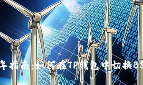 2023年指南：如何在TP钱包中切换BSC网络