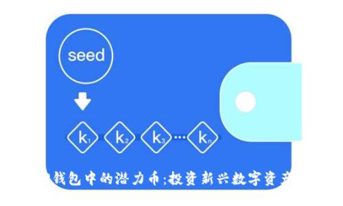 探索TP钱包中的潜力币：投资新兴数字资产的指南