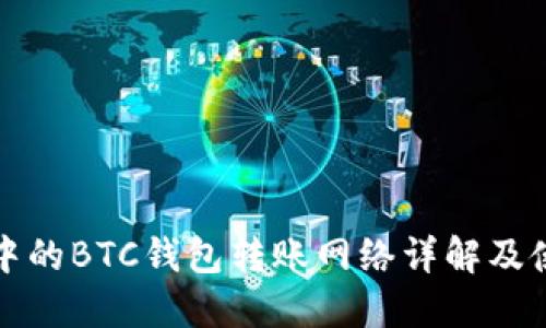 TP钱包中的BTC钱包转账网络详解及使用指南