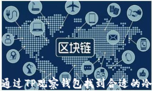 
如何通过TP观察钱包找到合适的冷钱包