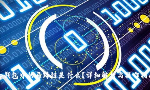 tp钱包中的马蹄链是什么？详细解析与操作指南