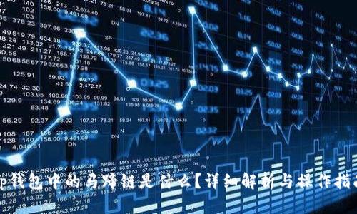 tp钱包中的马蹄链是什么？详细解析与操作指南