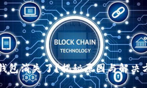 TP钱包消失了？揭秘原因与解决方法