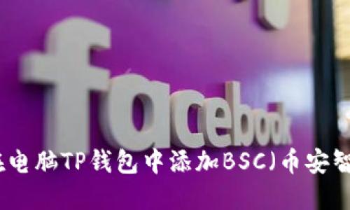 如何在电脑TP钱包中添加BSC（币安智能链）