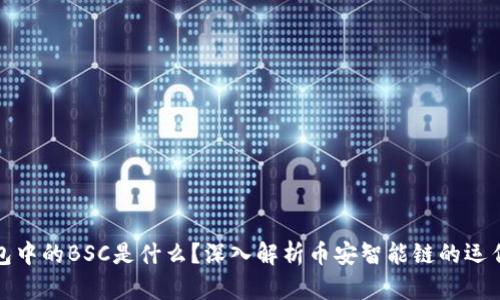 TP钱包中的BSC是什么？深入解析币安智能链的运作机制