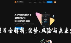 TP钱包项目全解析：优势、风险与未来发展趋势