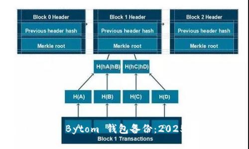 立即了解 Bytom 钱包备份：2025 必看指南